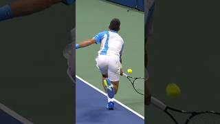Novak Djokovic's AROUND-THE-NET shot! 😱