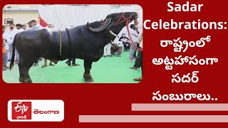 Telangana లో అట్టహాసంగా Sadar Celebrations.. | Hyderabad Sadar Festival Celebrations