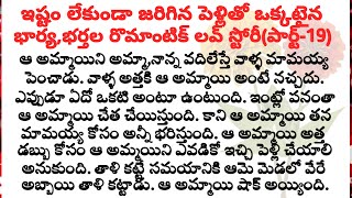 ఇష్టం లేకుండా జరిగిన పెళ్లితో ఒక్కటైన భార్య,భర్తల రొమాంటిక్ లవ్ స్టోరీ(పార్ట్-19)|family stories