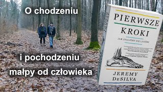 O chodzeniu i pochodzeniu małpy od człowieka