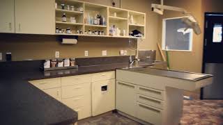 Veterinary Clinic Tour!