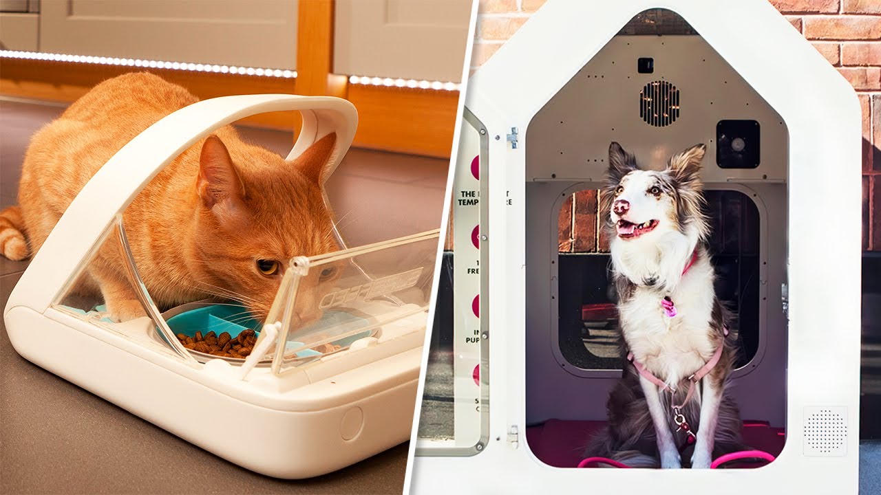 10 Coolest Gadgets For Pet Lovers You Can Buy Online Right Now - YouTube