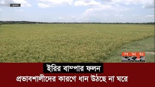 প্রভাবশালীদের কারণে ধান উঠছে না ঘরে | Khulna Paddy | Somoy TV | #StayHome #WithMe