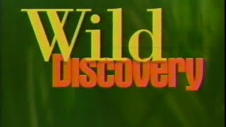 Wild Discovery: The Story of America's Great Volcanoes — 1995