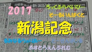 【競馬予想】　サマー2000シリーズ最終戦　新潟記念　馬連5頭BOX　穴は、ロッカフラベイビーとソールインパクトかな？