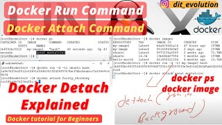 Docker Run, Docker Attach, Docker Image, docker PS and Detach Command | Docker Basic Commands