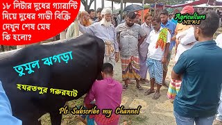 ১৮ লিটার দুধের গ্যারান্টি দিয়ে দুধের গাভী বিক্রি | দেখুন শেষ মেষ কি হলো? | Hazratpur gorur haat