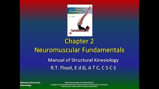 Structural Kinesiology Chapter 2 P5