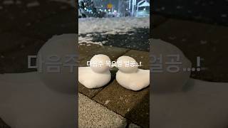 저 얼공해요…!