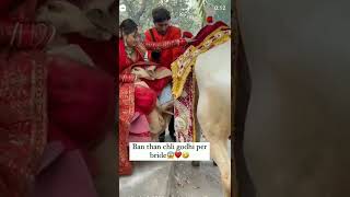 😋😋😋दूल्हा नहीं आया तो खुद ही    घोड़े पर बेठकर बारात ले चली😋😋😋#shorts # # viral video # trading