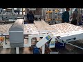 Biscuit Cooling Conveyor, z type turn, Stacker and Packing Table