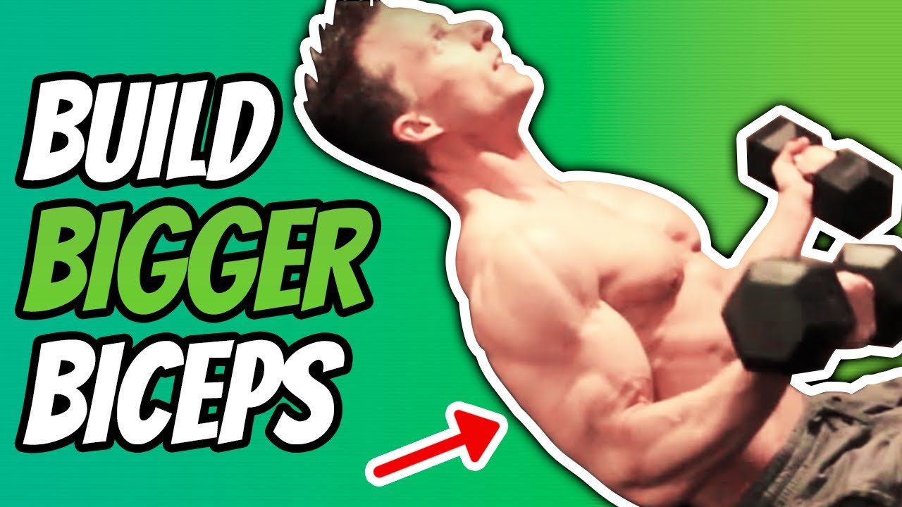 Build Bigger Biceps Youtube