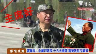 夏业良：北戴河恶浪 十九大提前 高智晟怒斥骗捐