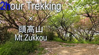 【2hour Trekking:初級】頭高山　渋沢～頭高山～渋沢