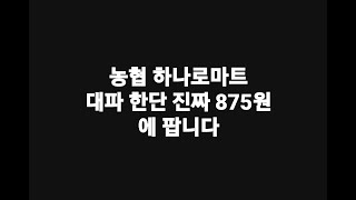 농협 하나로마트 대파 한단 진짜 875원 에 팝니다