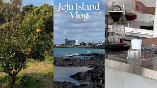 Jeju Travel Vlog 🇰🇷 Experiencing the local's life; picking tangerines to the best cafes in East-Jeju