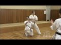 Seienchin _ Secret Techniques (english Translation)_ Yoshio Kuba_ Goju Ryu Karate