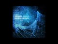 yahel d.n.a shibass remix