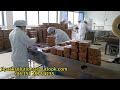 reciprocating pillow packaging machine for packaging nuts and snacks 往復式枕式包裝機 包裝堅果類，零食包裝