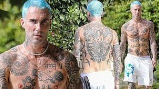 HOT! Adam Levine DEBUTS Blue Hair and Shows Off Shirtless, Fully Tattooed body in Brentwood stroll