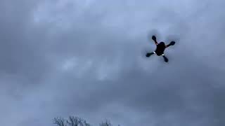 Propel Zipp Nano X2 High Performance Drone - Demo Flight