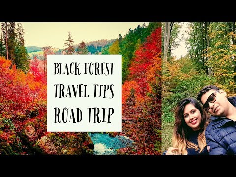 Black Forest, Germany Travel Tips: Top 5 Must See Attractions Black Forest, Germany Travel Tips: Top 5 Must See Attractions