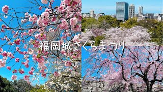 福岡城さくらまつり 2022🌸舞鶴公園/ 大濠公園［vlog］福岡の桜/ 桜の名所/ Sakura Cherry Blossom Spots in FUKUOKA JAPAN