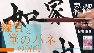 【書道 楷書】～線質と筆のバネの解説～弾力を感じながら書く＊＜書濤2022 5月号 解説①半紙＞