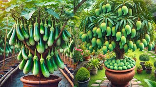 Great Tips for Growing Mango, Papaya , and Banana Tree With A Lot of Fruits In Short Time