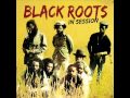 Black Roots - Bristol rock (reggae)