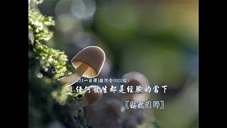 191103一日禪-3-1.任何發生都是經驗的當下(雜阿含0002經)[德藏法師]