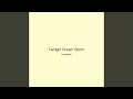 Twilight Dream Storm