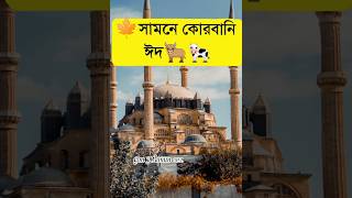 সামনে কোরবানি ঈদ🐄#foryou #gojol #islamic #shortvideo #youtubeshorts #tanding