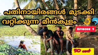 നാലു കൊല്ലമായി🐠വറ്റിക്കാത്ത 50 സെൻറ് ഓളം ഉള്ള മീൻകുളം🔥| #snakeheadhunting #snakehead