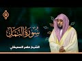 سورة النمل والقصص - الشيخ ماهر المعيقلي