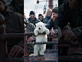 polar bear rescue at atlantic sea babybear bhalo cute