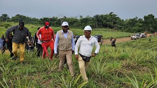 L'Agro business en pleine Explosion au Cœur de la RDC