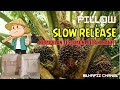 PUPUK SAWIT PILLOW SLOW RELEASE KUMPULAN TESTIMONI PETANI SAWIT