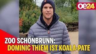 Zoo Schönbrunn: Dominic Thiem ist Koala-Pate
