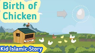 kids islamic stories || Birth of Chicken || muslim || kaz school