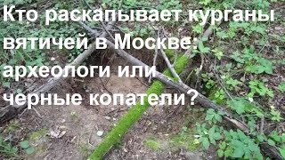 Кто копает курганы вятичей в Битцевском лесопарке - археологи или черные копатели?