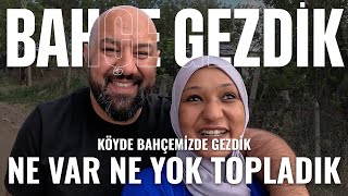 Köyde Bahçemize Gittik! Meyve Topladık, Ceviz Kırdık ve Keyif Yaptık