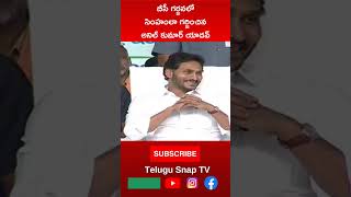 అనిల్ కుమార్ యాదవ్ అంటేనే సింహం #shorts #telugushorts #ysrcp #ysjagan