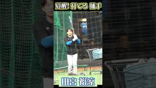 凛々しい face な【田宮裕涼】#田宮裕涼 #shorts #北海道日本ハムファイターズ