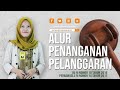 Alur Penanganan Pelanggaran Pemilihan