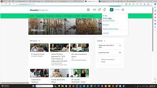 Setting Email Notifications in Brightspace