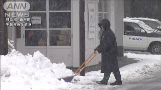 関東甲信から東海で大雪の恐れ　都心に大雪注意報(2022年2月10日)