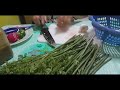 ensaladang pako easy and quick recipe fern salad