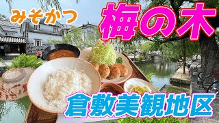 倉敷美観地区すぐ、みそかつの「梅の木」へ行ってきたよ！！