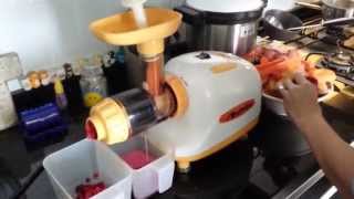 Alpha Juicer DA 900